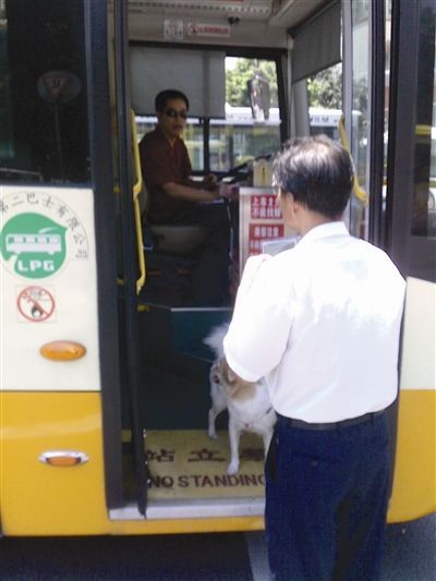 扶助犬乘车屡遭拒 残疾人出行权益保障亟待落实